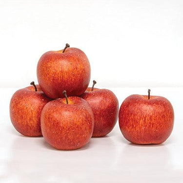 5 Set Red Apple Bowl Fillers - The Fox Decor